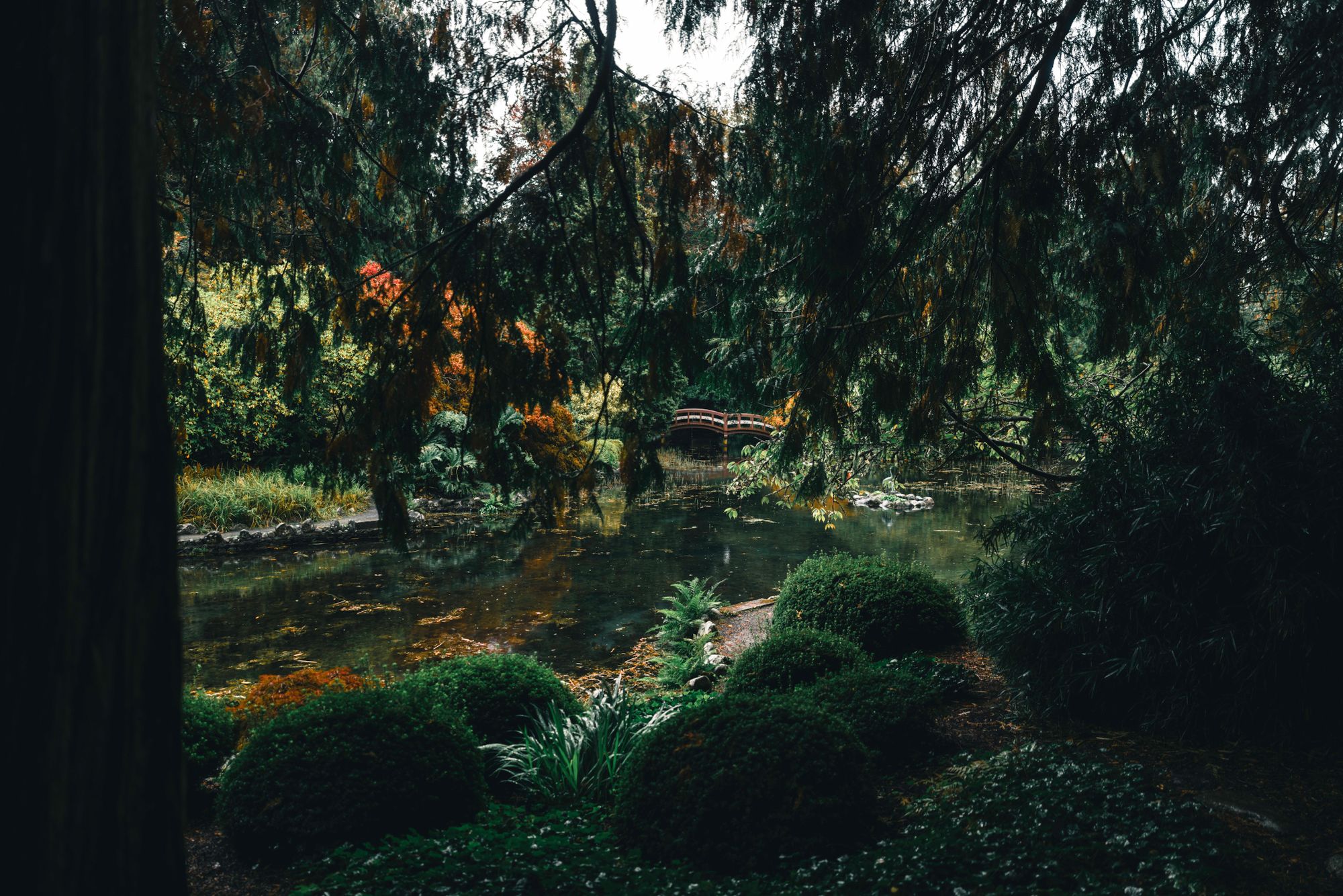 Garden / Greentree Village / Forest Glen