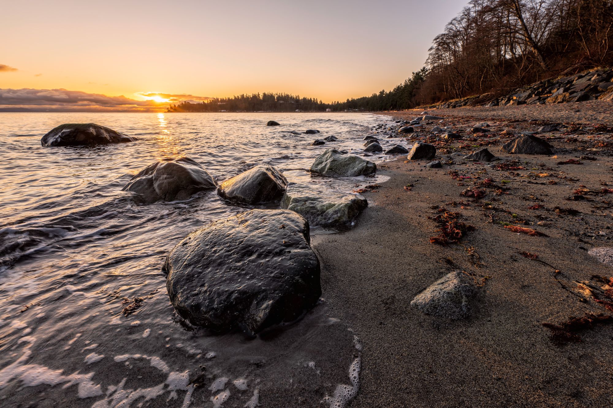 Crescent Beach / Ocean Park