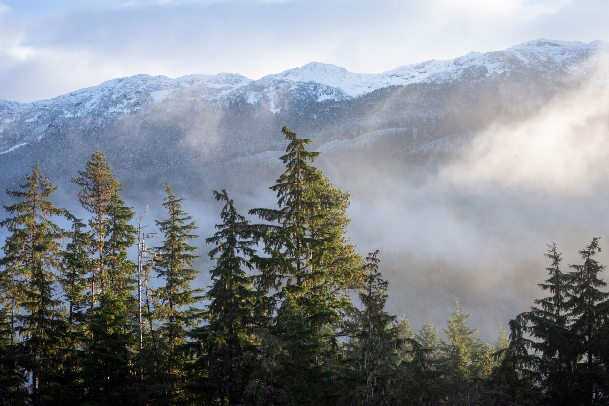 Maple Ridge