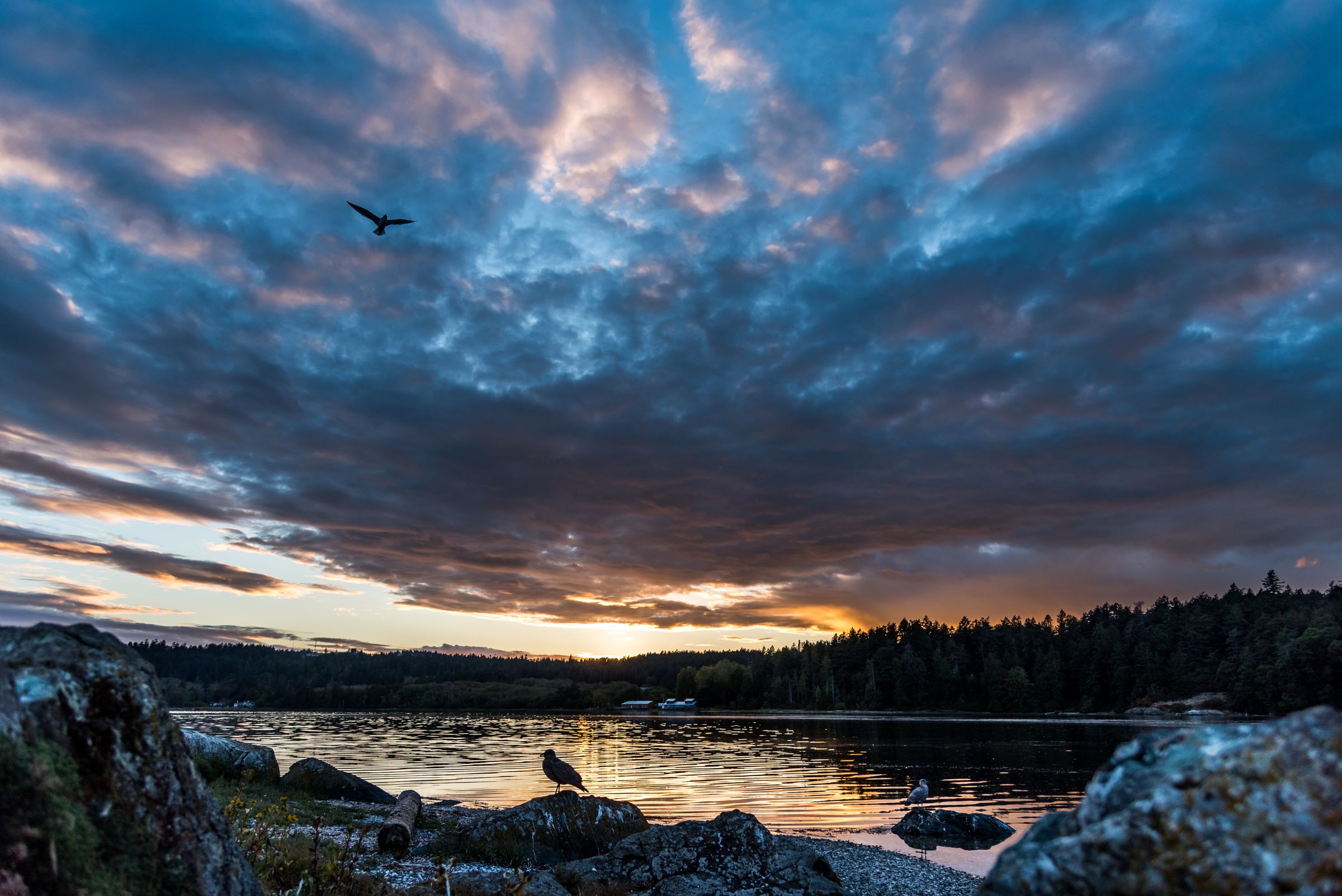 Port Moody